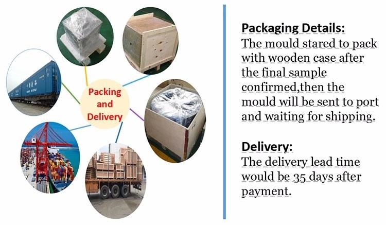 עובש packaging__webp.jpg